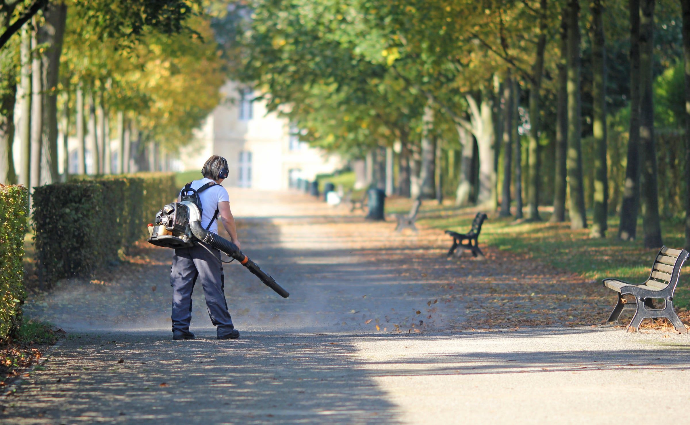 Mitarbeiter mit Laubbläser in einer herbstlichen Allee