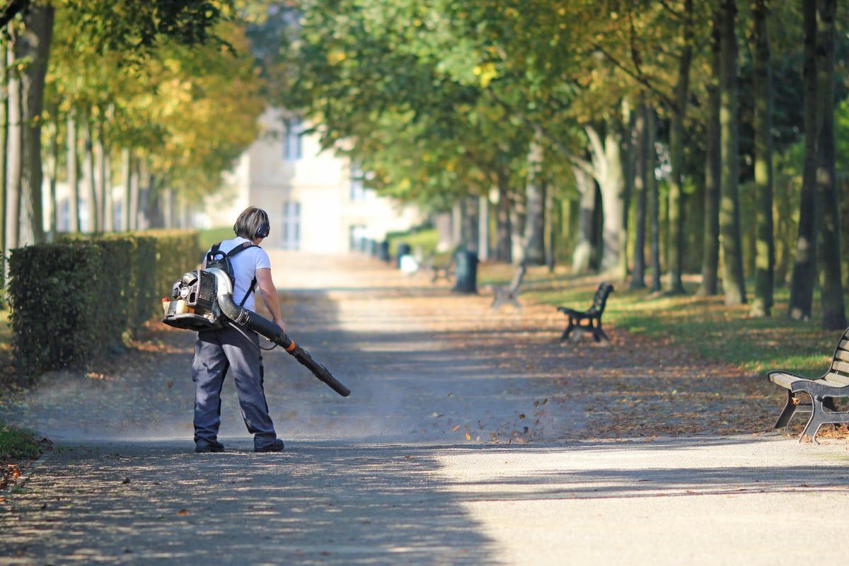 Mitarbeiter mit Laubbläser in einer herbstlichen Allee