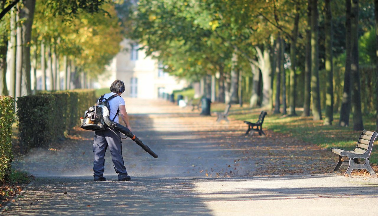 Mitarbeiter mit Laubbläser in einer herbstlichen Allee