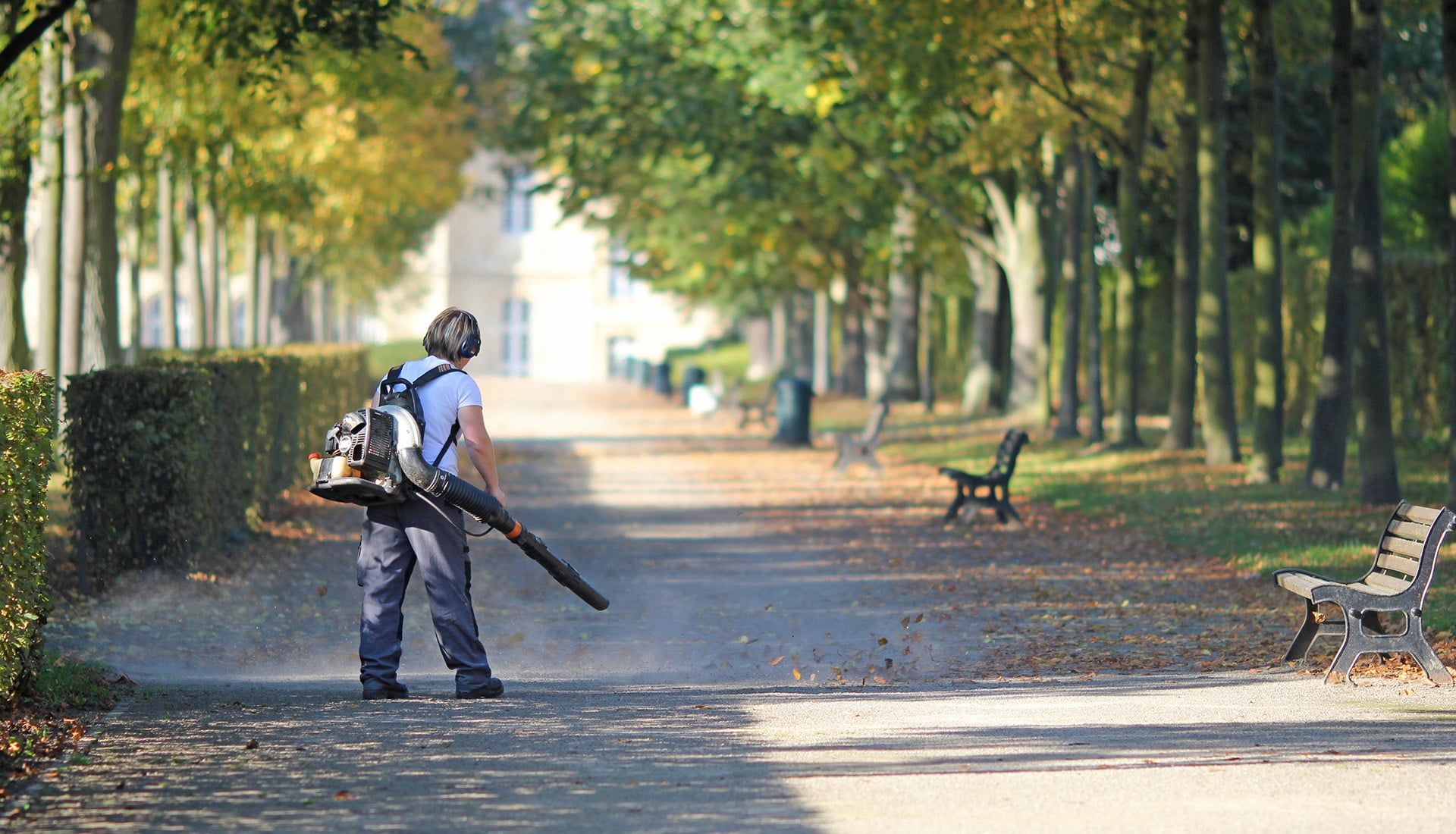 Mitarbeiter mit Laubbläser in einer herbstlichen Allee